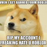 Mad Doge Blank Template Imgflip - doge roblox id pictures