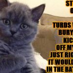 SUCCESS CAT | STEPPED ON ONE OF MY TURDS WHILE BURYING IT; KICKED IT OFF MY FOOT JUST RIGHT SO IT WOULD LAND IN THE BATHTUB | image tagged in success cat | made w/ Imgflip meme maker