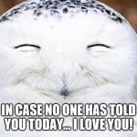 laughing owl | IN CASE NO ONE HAS TOLD YOU TODAY... I LOVE YOU! | image tagged in laughing owl | made w/ Imgflip meme maker