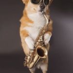 Corgi Saxophone | SAXY; "WHEN YOU THINK YOU HAVE TALENT" | image tagged in corgi saxophone | made w/ Imgflip meme maker