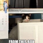 Cat Dictator | FROM THIS BOX I WILL RULE THE WORLD | image tagged in cat dictator | made w/ Imgflip meme maker
