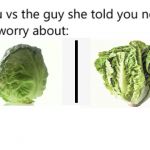 You vs the guy | image tagged in you vs the guy | made w/ Imgflip meme maker
