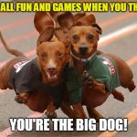 The Big Dog! | IT'S ALL FUN AND GAMES WHEN YOU THINK; YOU'RE THE BIG DOG! | image tagged in dachshunds running,funny memes,funny dog memes,dachshunds,big dog | made w/ Imgflip meme maker