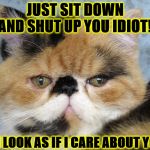 SHUT UP | JUST SIT DOWN AND SHUT UP YOU IDIOT! DO I LOOK AS IF I CARE ABOUT YOU? | image tagged in shut up | made w/ Imgflip meme maker