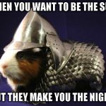 Guinea Pig | WHEN YOU WANT TO BE THE SUN; BUT THEY MAKE YOU THE NIGHT | image tagged in guinea pig | made w/ Imgflip meme maker