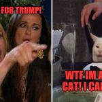 Yelling woman cat | YOU VOTED FOR TRUMP! WTF IM A F*CKIN' CAT! I CAN'T VOTE! | image tagged in yelling woman cat | made w/ Imgflip meme maker