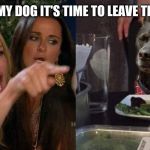 Woman yells at dog | ME TELLING MY DOG IT'S TIME TO LEAVE THE DOG PARK | image tagged in woman yells at dog | made w/ Imgflip meme maker