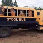 stool bus