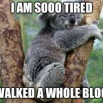 koala sleeping | I AM SOOO TIRED; I WALKED A WHOLE BLOCK | image tagged in koala sleeping | made w/ Imgflip meme maker