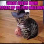 Halloween cat | WHAT EVERY MOM DRESSES UP AS FOR HALLOWEEN | image tagged in halloween cat | made w/ Imgflip meme maker