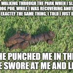 dog poop | I WAS WALKING THROUGH THE PARK WHEN I SLIPPED ON DOG POO, WHILE I WAS RECOVERING ANOTHER GUY DID EXACTLY THE SAME THING, I TOLD I JUST DID THAT. HE PUNCHED ME IN THE FACE SWORE AT ME AND LEFT? | image tagged in dog poop | made w/ Imgflip meme maker