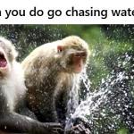 Chasing Waterfalls meme