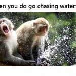 Chasing Waterfalls | image tagged in chasing waterfalls | made w/ Imgflip meme maker