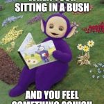 Tinky winky | WHEN YOUR SITTING IN A BUSH; AND YOU FEEL SOMETHING SQUISH | image tagged in tinky winky | made w/ Imgflip meme maker