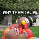 Why am i here turkey | WHY TF AM I ALIVE | image tagged in why am i here turkey | made w/ Imgflip meme maker