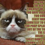 DO YOU THINK | DO YOU THINK THE NEXT TIME YOU VISIT ME WHEN YOU HAVE DIARRHEA YOU COULD AT LEAST HAVE THE COURTESY TO CLEAN YOU POOP SPLATTERS OUT OF THE TOILET? THE ENTIRE INSIDE OF MY TOILET BOWL IS NOW BROWN & IT STINKS! | image tagged in do you think | made w/ Imgflip meme maker