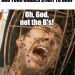 Not the Bees | WHEN YOU'VE GOT A 4.0 AND YOUR GRADES START TO DROP; Oh, God, not the B's! Not the B's! | image tagged in not the bees | made w/ Imgflip meme maker