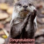 Slow-Clap Otter | You have unlocked the 'Otter of Appreciation'; Congratulations on your success!!  
Continue to produce outstanding work! | image tagged in slow-clap otter | made w/ Imgflip meme maker