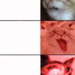Crying cats meme