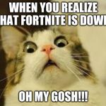 shocked cat | WHEN YOU REALIZE THAT FORTNITE IS DOWN; OH MY GOSH!!! | image tagged in shocked cat | made w/ Imgflip meme maker