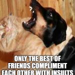 It's when they stop that you know something is wrong | ONLY THE BEST OF FRIENDS COMPLIMENT EACH OTHER WITH INSULTS | image tagged in cat and dog love,boma,timiddeer,friends,lol | made w/ Imgflip meme maker