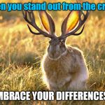 Embrace Your Differences! | When you stand out from the crowd; EMBRACE YOUR DIFFERENCES ! | image tagged in jacklalope,inspirational memes,difference,funny memes,nature | made w/ Imgflip meme maker