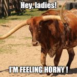 I'm Feeling Horny! | Hey, ladies! I'M FEELING HORNY ! | image tagged in horny bull,funny memes,horny,bull | made w/ Imgflip meme maker