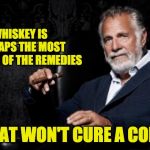 the most interesting man | WHISKEY IS PERHAPS THE MOST POPULAR OF THE REMEDIES; THAT WON'T CURE A COLD. | image tagged in the most interesting man | made w/ Imgflip meme maker