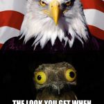 Mental/Physical Birds | THE LOOK YOU GET WHEN YOU REALIZED YOU SHOULDN'T HAVE MESSED WITH AMERICA | image tagged in mental/physical birds | made w/ Imgflip meme maker