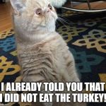 Standing Cat | I ALREADY TOLD YOU THAT I DID NOT EAT THE TURKEY! | image tagged in standing cat | made w/ Imgflip meme maker