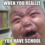 Funny crying baby! | WHEN YOU REALIZE YOU HAVE SCHOOL | image tagged in funny crying baby | made w/ Imgflip meme maker