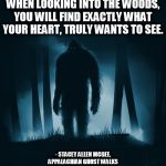 Appalachian Ghost Walks | WHEN LOOKING INTO THE WOODS, YOU WILL FIND EXACTLY WHAT YOUR HEART, TRULY WANTS TO SEE. - STACEY ALLEN MCGEE, APPALACHIAN GHOST WALKS | image tagged in appalachian ghost walks | made w/ Imgflip meme maker