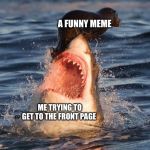 Travelonshark | A FUNNY MEME; ME TRYING TO GET TO THE FRONT PAGE | image tagged in memes,travelonshark | made w/ Imgflip meme maker