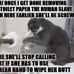 AH HA | AH HA! ONCE I GET DONE REMOVING THIS TOILET PAPER THE HUMAN SLAVE PUT IN HERE EARLIER SHE'LL BE SCREWED! MAYBE SHE'LL STOP CALLING ME FAT IF SHE HAS TO USE HER BEAR HAND TO WIPE HER BUTT | image tagged in ah ha | made w/ Imgflip meme maker