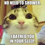 Overly Attached Cat | NO NEED TO SHOWER. I BATHED YOU IN YOUR SLEEP. | image tagged in overly attached cat | made w/ Imgflip meme maker