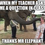 you no talk | WHEN MY TEACHER ASKS ME A QUESTION IN CLASS; THANKS MR ELEPHANT | image tagged in you no talk | made w/ Imgflip meme maker
