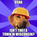 safety hound | OSHA; ISN'T THAT A TOWN IN WISCONSIN? | image tagged in safety hound | made w/ Imgflip meme maker