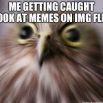 TRIGGRED  | ME GETTING CAUGHT LOOK AT MEMES ON IMG FLIP | image tagged in triggred | made w/ Imgflip meme maker