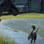 Rex and Gallimimus