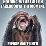 Monkey on Phone | THANK YOU FOR HOLDING. WE ARE ALL ON FACEBOOK AT THE MOMENT. PLEASE WAIT UNTIL SOMEONE CAN GIVE A SHIT. | image tagged in monkey on phone | made w/ Imgflip meme maker