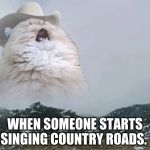 Country Roads Cat | WHEN SOMEONE STARTS SINGING COUNTRY ROADS. | image tagged in country roads cat | made w/ Imgflip meme maker