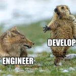 Oh Shit, Fox | DEVELOPER; TEST ENGINEER | image tagged in oh shit fox | made w/ Imgflip meme maker