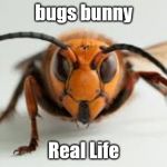 wasp | bugs bunny; Real Life | image tagged in wasp | made w/ Imgflip meme maker