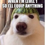 Cute puppy | WHEN I'M LEVEL 1 SO I'LL EQUIP ANYTHING | image tagged in watermelon doggo | made w/ Imgflip meme maker