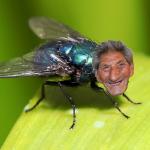 Ivan the Fly meme