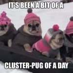 Cluster Pug | IT’S BEEN A BIT OF A; CLUSTER-PUG OF A DAY | image tagged in cluster pug | made w/ Imgflip meme maker