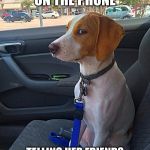 Suspicious Dog | WHEN YO MOMMA ON THE PHONE; TELLING HER FRIENDS HOW GOOD YOU ARE IN SCHOOL | image tagged in suspicious dog | made w/ Imgflip meme maker