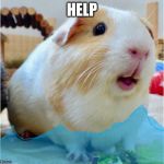 help | HELP | image tagged in the piggy bath,help | made w/ Imgflip meme maker