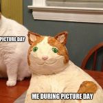 Cat and cat cake | ME BEFORE PICTURE DAY; ME DURING PICTURE DAY | image tagged in cat and cat cake | made w/ Imgflip meme maker