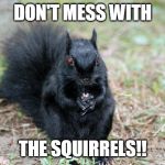 evil squirrel | DON'T MESS WITH; THE SQUIRRELS!! | image tagged in evil squirrel | made w/ Imgflip meme maker